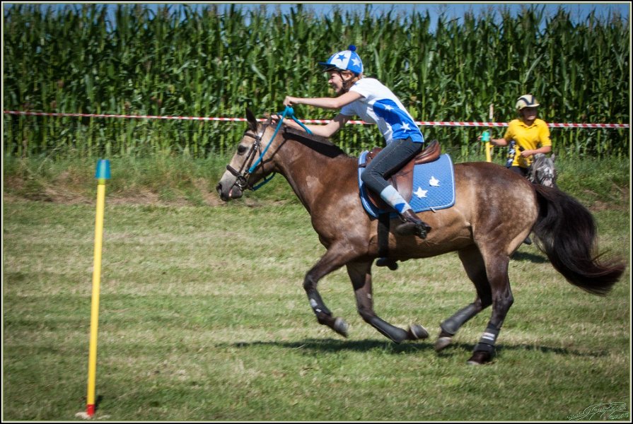 Mounted Games 022